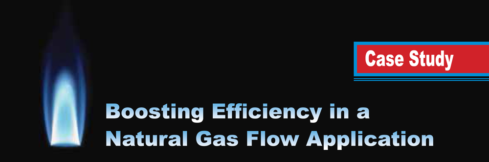 Boosting Efficiency in Natural Gas Flow Application 